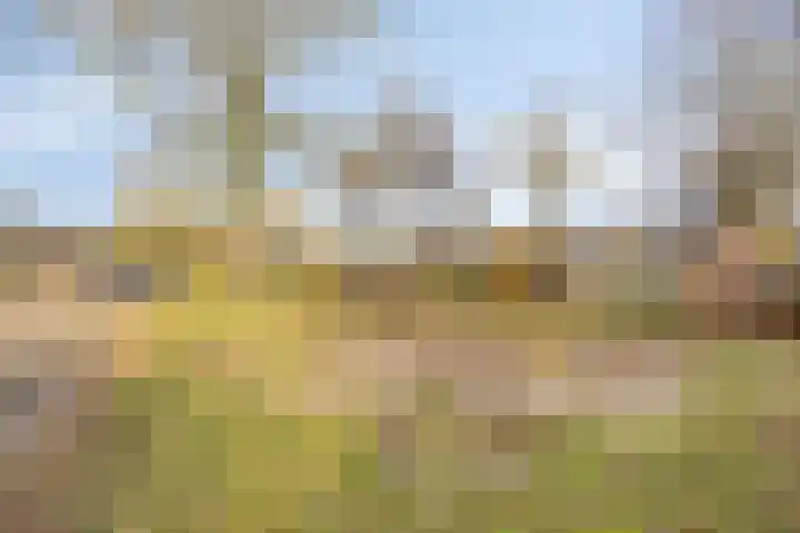 Willem Koopsweg 7 de Wijk thumbnail 40
