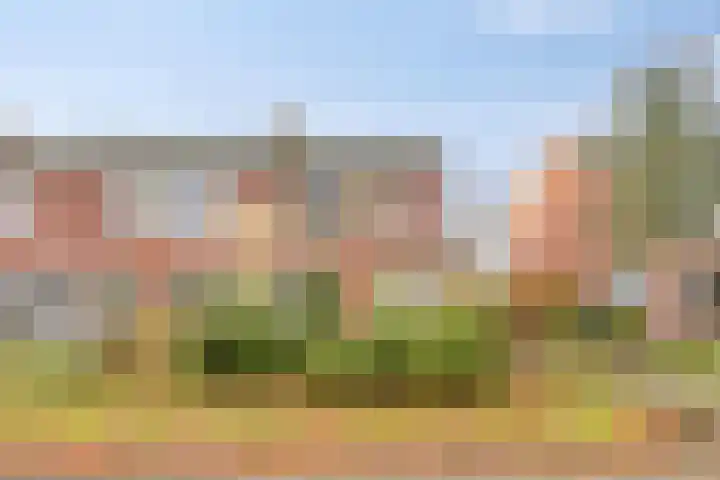 Willem Koopsweg 7 de Wijk thumbnail 5