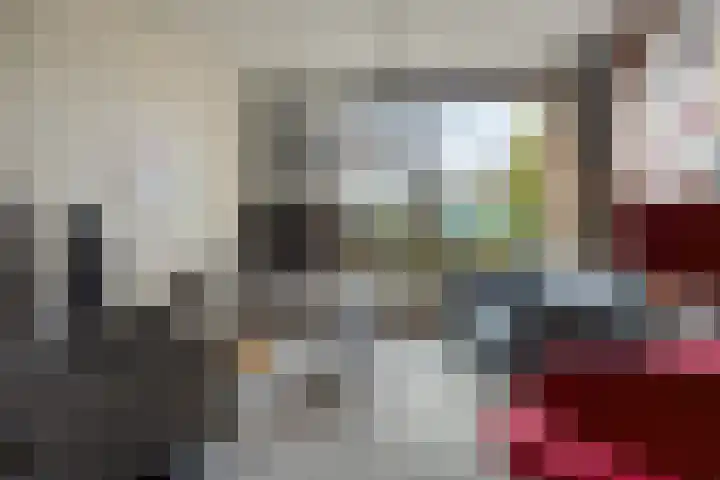 Willem Koopsweg 7 de Wijk thumbnail 7