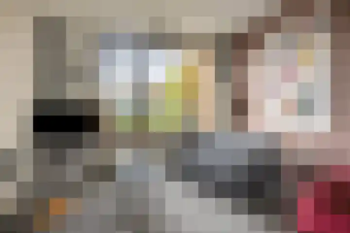 Willem Koopsweg 7 de Wijk thumbnail 8