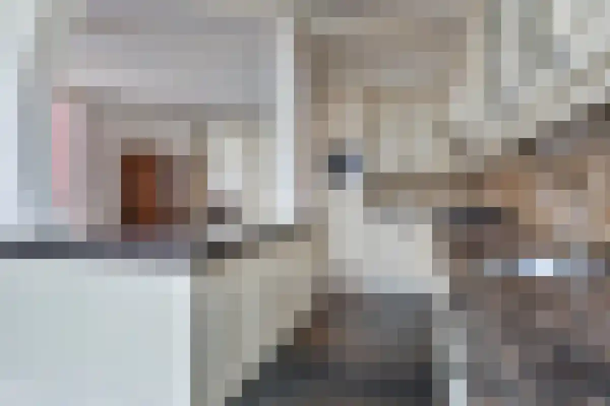 Willem Kuijperstraat 46 Den Haag thumbnail 12