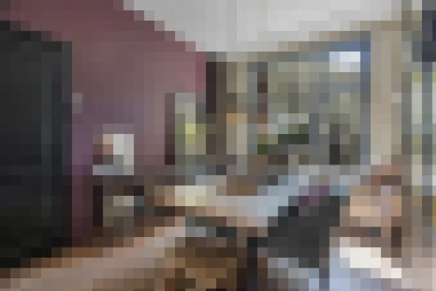 Willem Kuijperstraat 49 Den Haag thumbnail 12