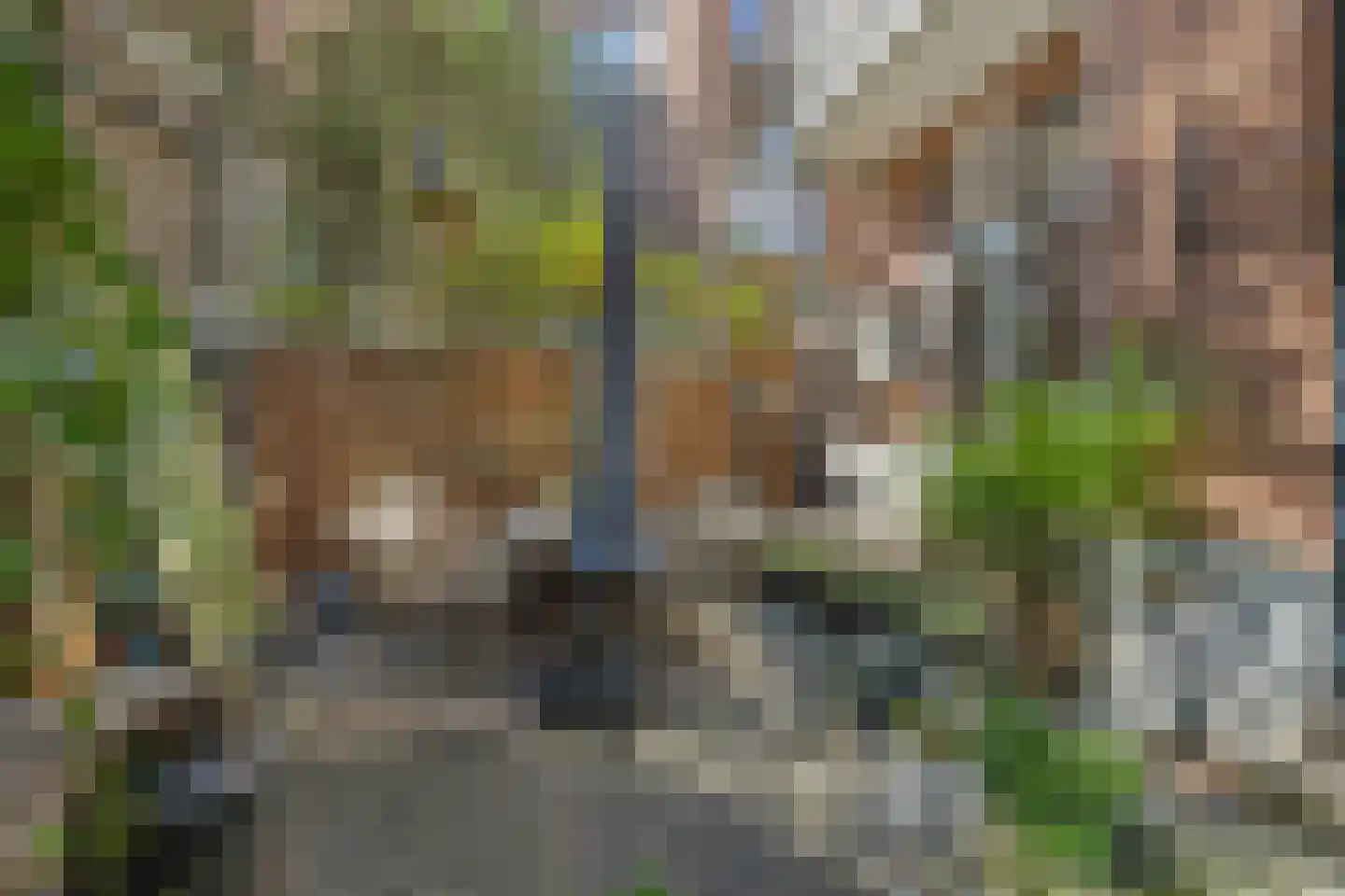 Willem Kuijperstraat 49 Den Haag thumbnail 20
