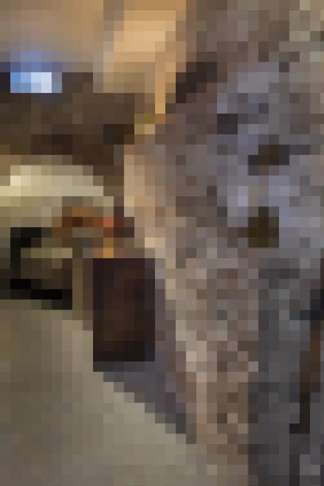 Willem Kuijperstraat 49 Den Haag thumbnail 34
