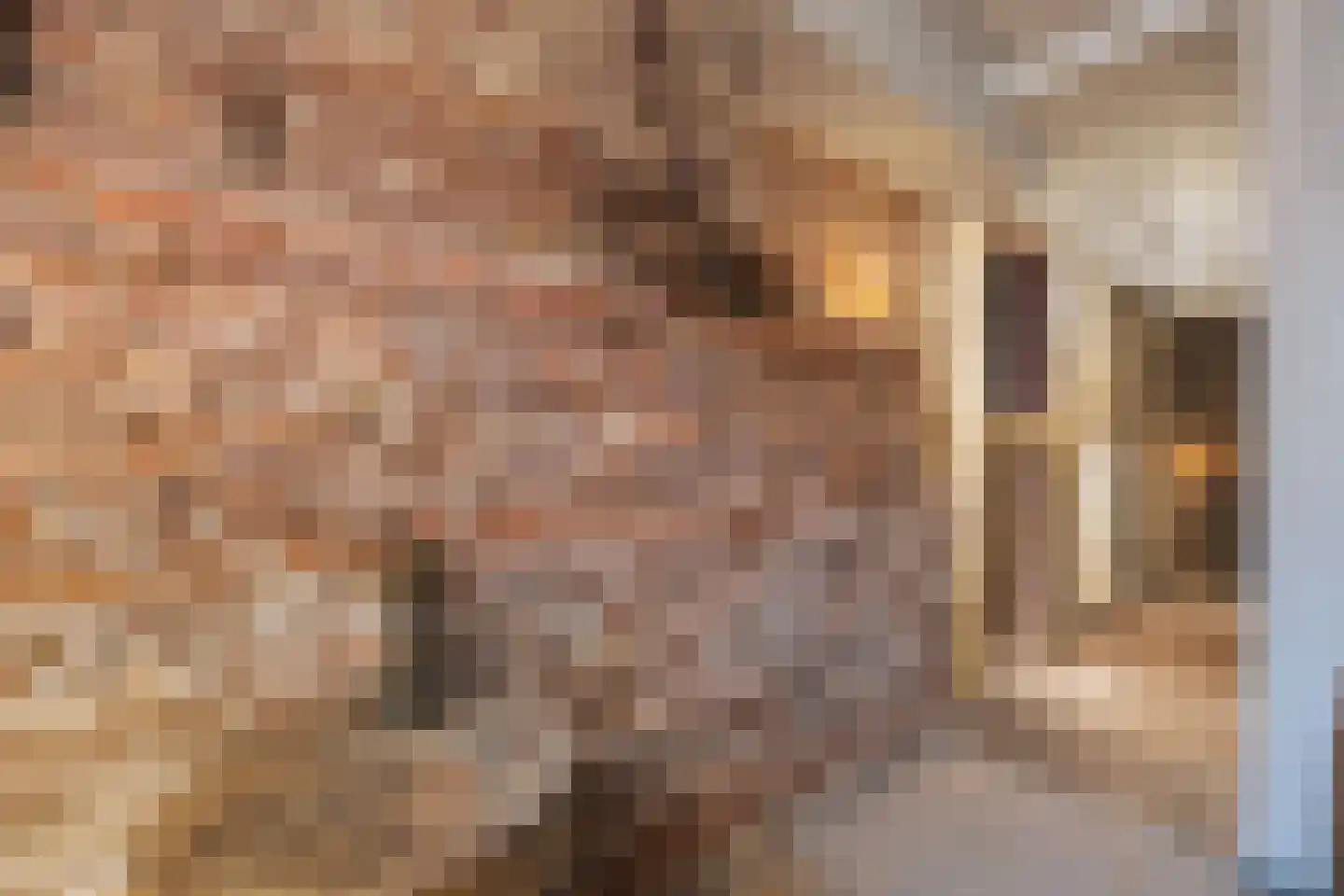 Willem Kuijperstraat 49 Den Haag thumbnail 35