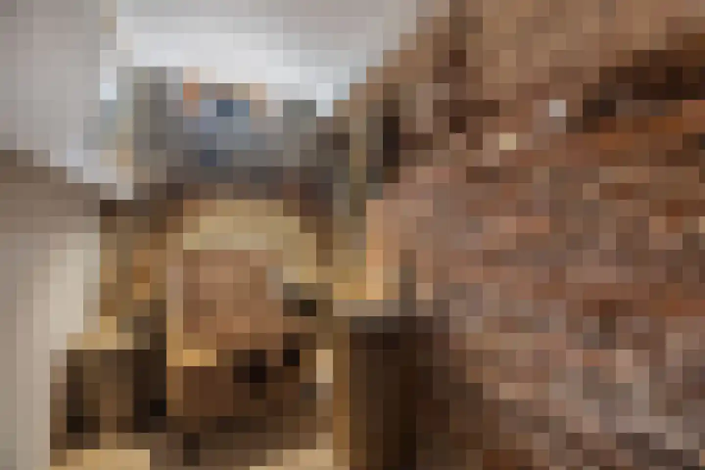 Willem Kuijperstraat 49 Den Haag thumbnail 36