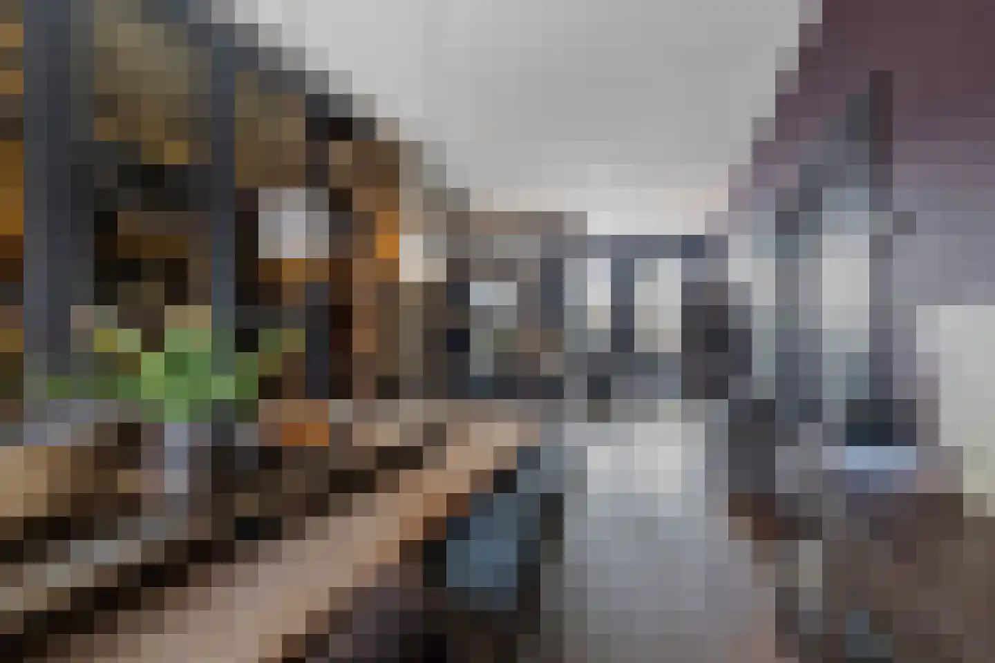 Willem Kuijperstraat 49 Den Haag thumbnail 5