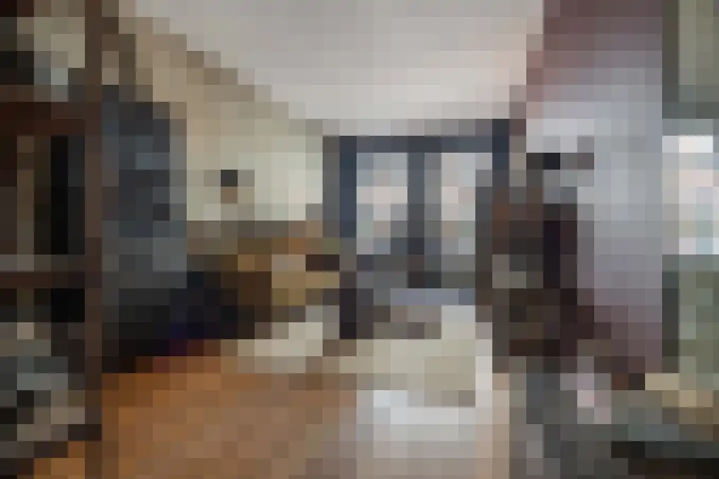 Willem Kuijperstraat 49 Den Haag thumbnail 6