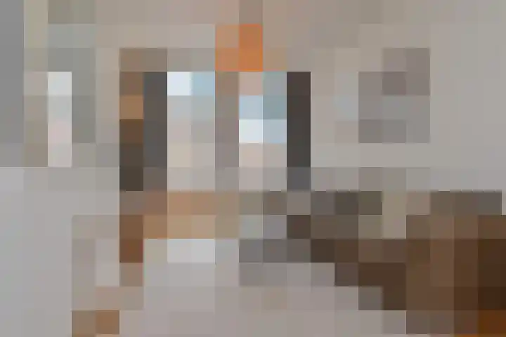 Willem Kuijperstraat 86 Den Haag thumbnail 11