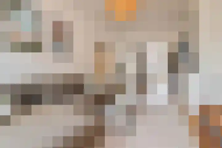 Willem Kuijperstraat 86 Den Haag thumbnail 12