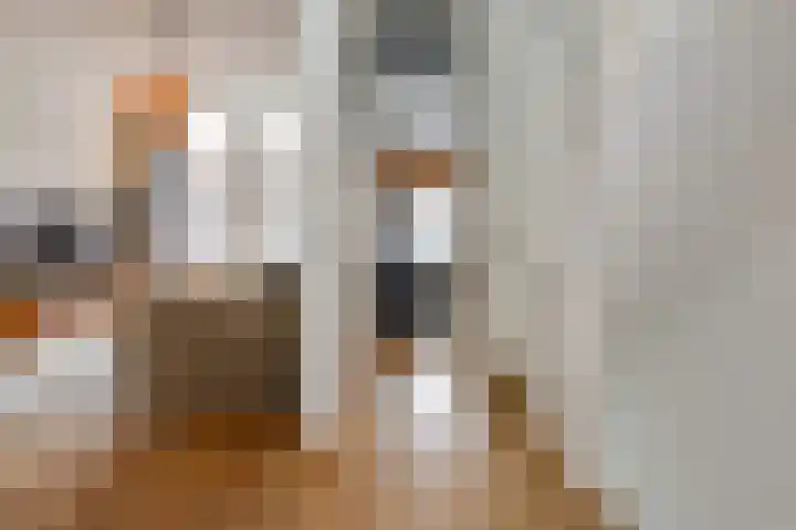 Willem Kuijperstraat 86 Den Haag thumbnail 27