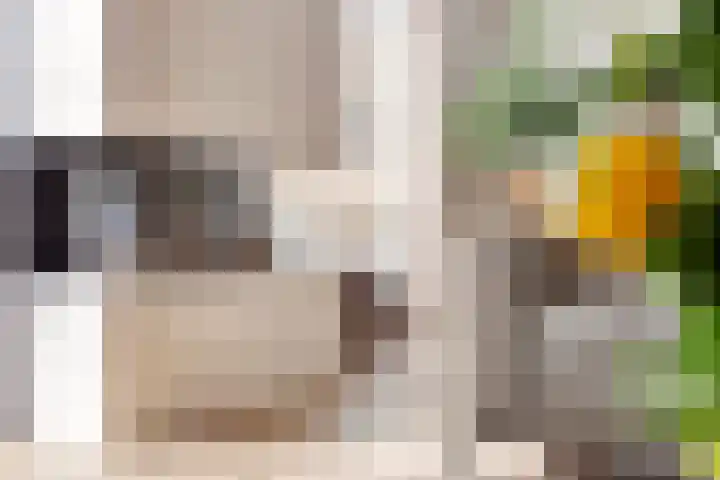 Willem Landrélaan 6 Maassluis thumbnail 11