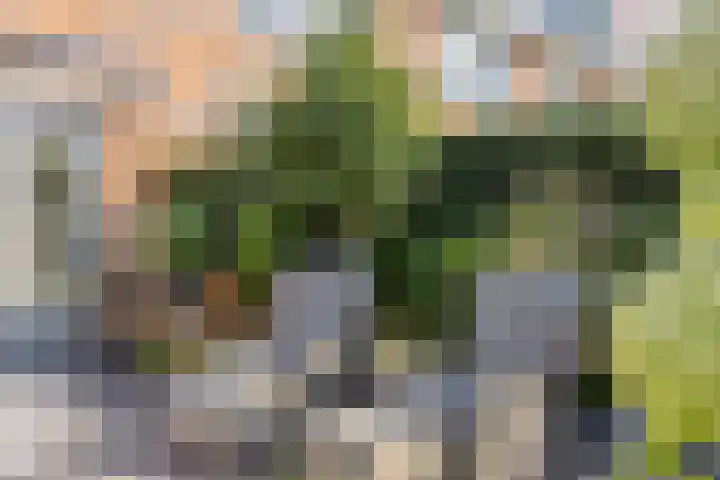 Willem Landrélaan 6 Maassluis thumbnail 25