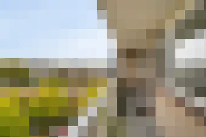 Willem Landréplein 59 Schiedam thumbnail 11