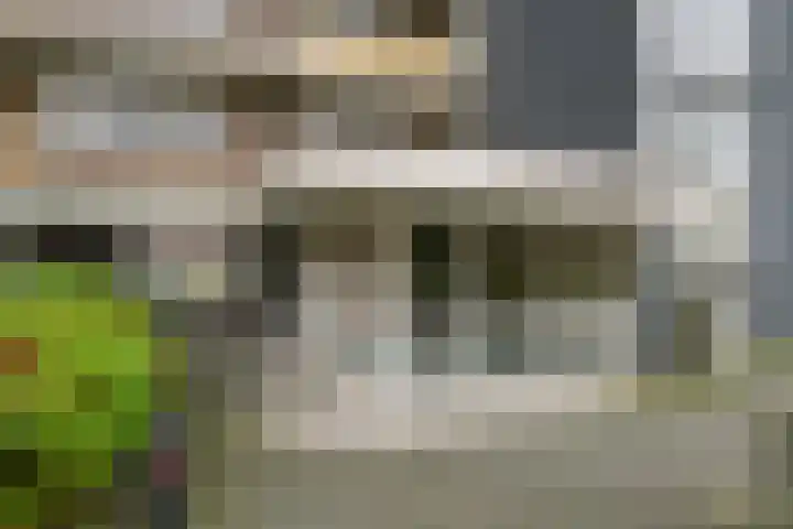 Willem Landréplein 59 Schiedam thumbnail 6