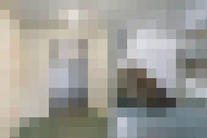 Willem Landréplein 59 Schiedam thumbnail 7