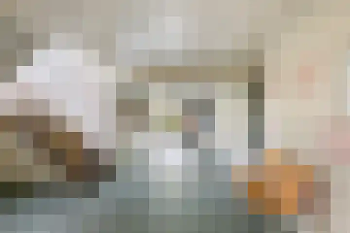 Willem Landréplein 59 Schiedam thumbnail 8