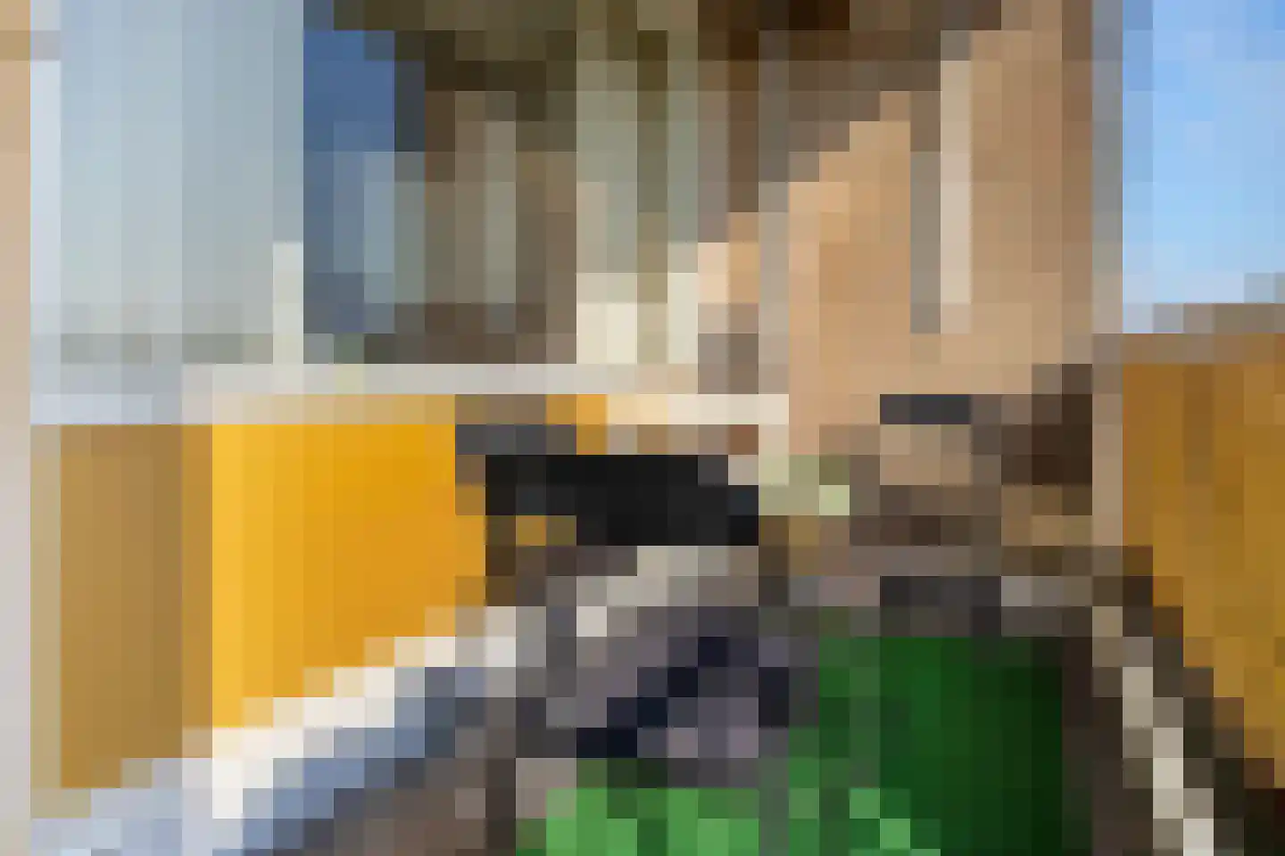 Willem Landréplein 65 Schiedam thumbnail 31