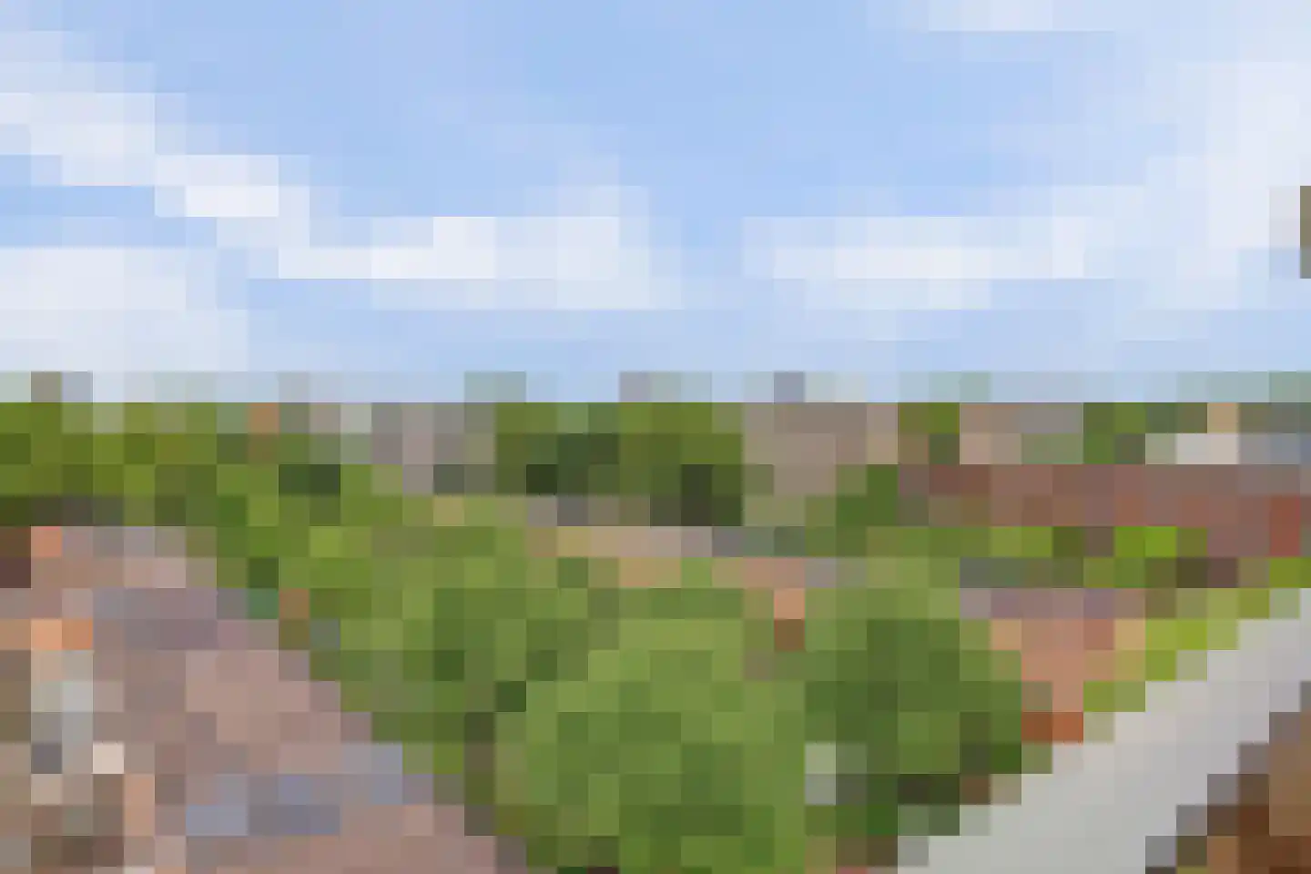 Willem Landréplein 66 Schiedam thumbnail 8