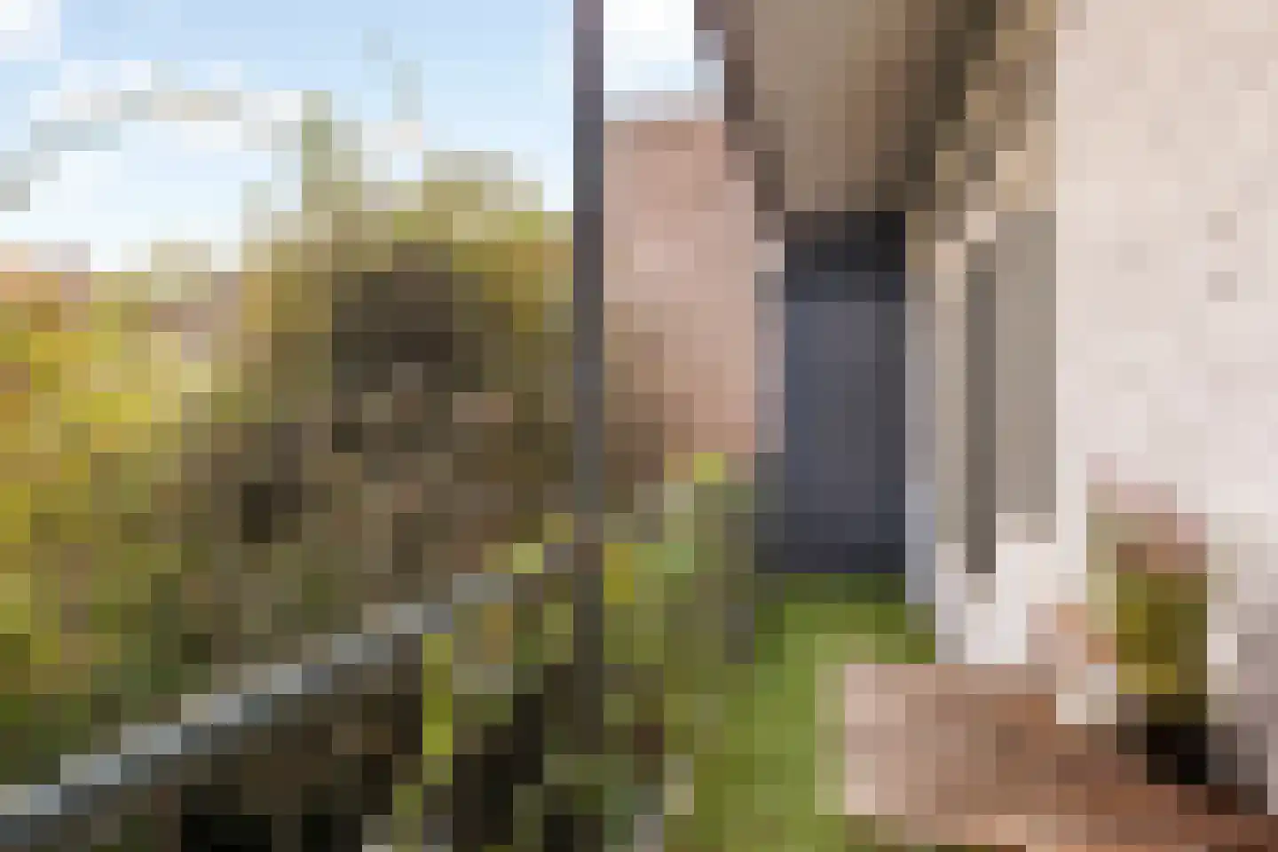 Willem Leevendstraat 5 1 Amsterdam thumbnail 20