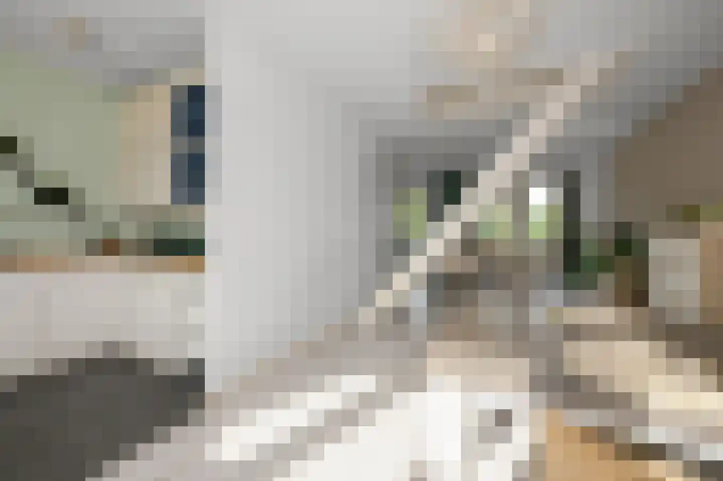 Willem Leevendstraat 8 D Amsterdam thumbnail 12
