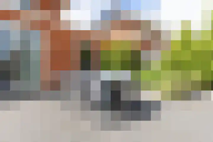 Willem Littelstraat 3 Schoonhoven thumbnail 54