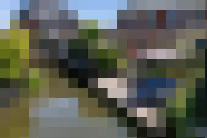Willem Littelstraat 3 Schoonhoven thumbnail 59