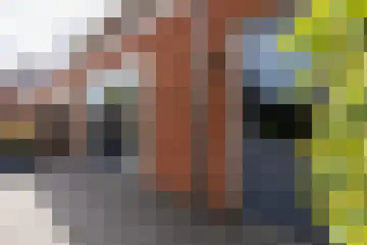 Willem Littelstraat 3 Schoonhoven thumbnail 63