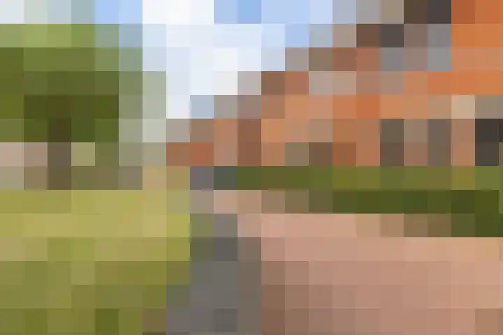 Willem Littelstraat 3 Schoonhoven thumbnail 68