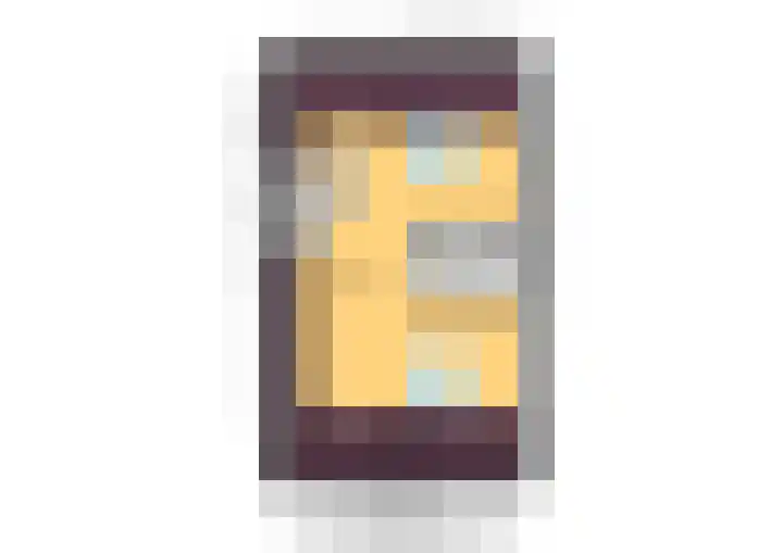 Willem Littelstraat 3 Schoonhoven thumbnail 81