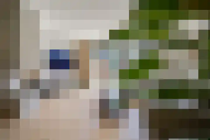 Willem Lodewijkhof 19 Alkmaar thumbnail 10