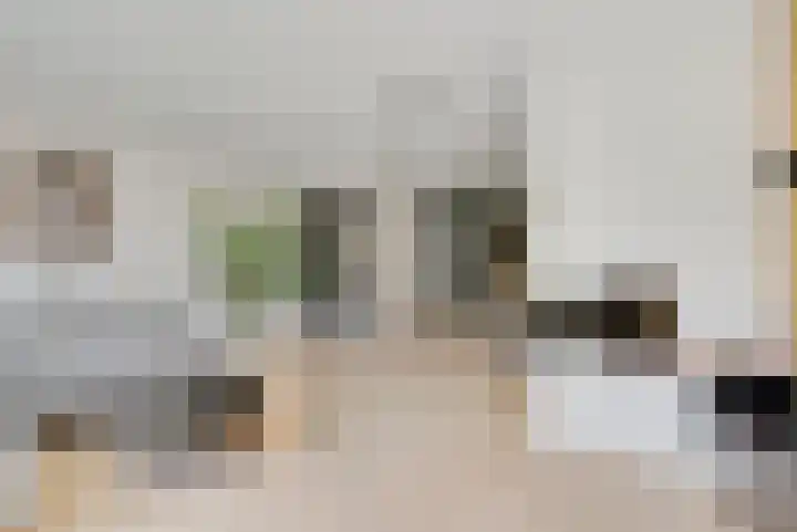 Willem Lodewijkhof 19 Alkmaar thumbnail 11