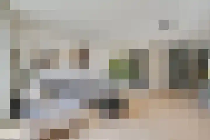 Willem Lodewijkhof 19 Alkmaar thumbnail 12