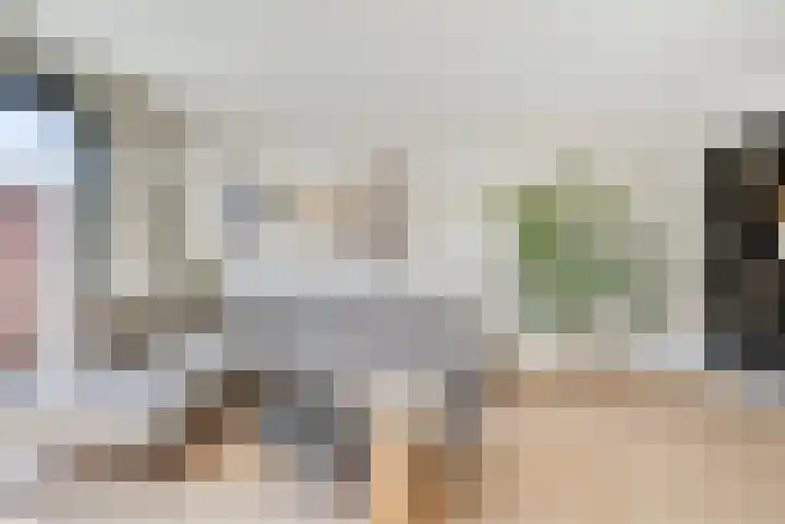 Willem Lodewijkhof 19 Alkmaar thumbnail 14
