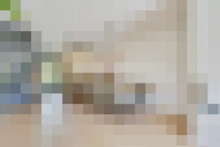Willem Lodewijkhof 19 Alkmaar thumbnail 15