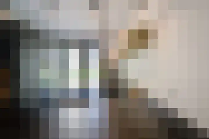 Willem Lodewijkhof 19 Alkmaar thumbnail 18