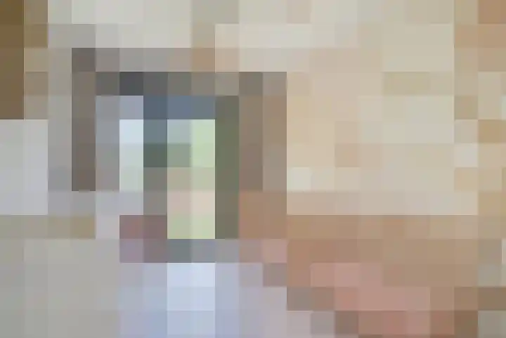 Willem Lodewijkhof 19 Alkmaar thumbnail 29
