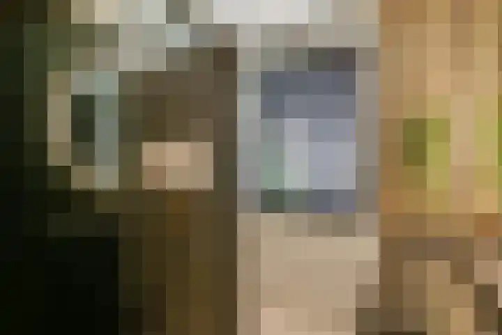 Willem Lodewijkhof 19 Alkmaar thumbnail 33