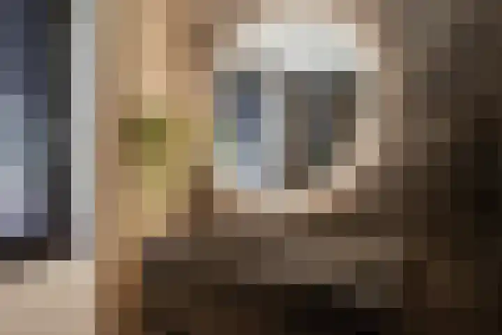 Willem Lodewijkhof 19 Alkmaar thumbnail 35
