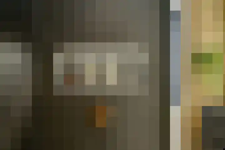 Willem Lodewijkhof 19 Alkmaar thumbnail 36