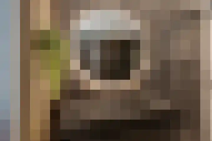 Willem Lodewijkhof 19 Alkmaar thumbnail 37