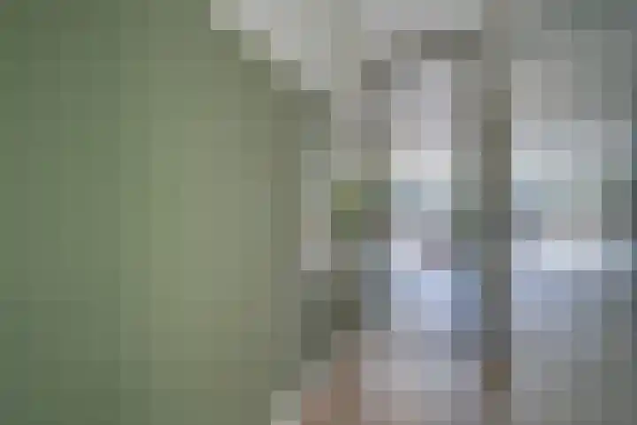 Willem Lodewijkhof 19 Alkmaar thumbnail 5