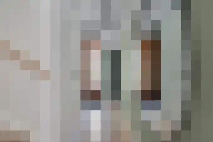 Willem Lodewijkhof 19 Alkmaar thumbnail 50