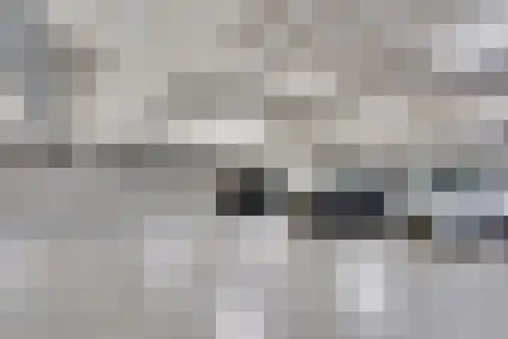 Willem Lodewijkhof 19 Alkmaar thumbnail 51