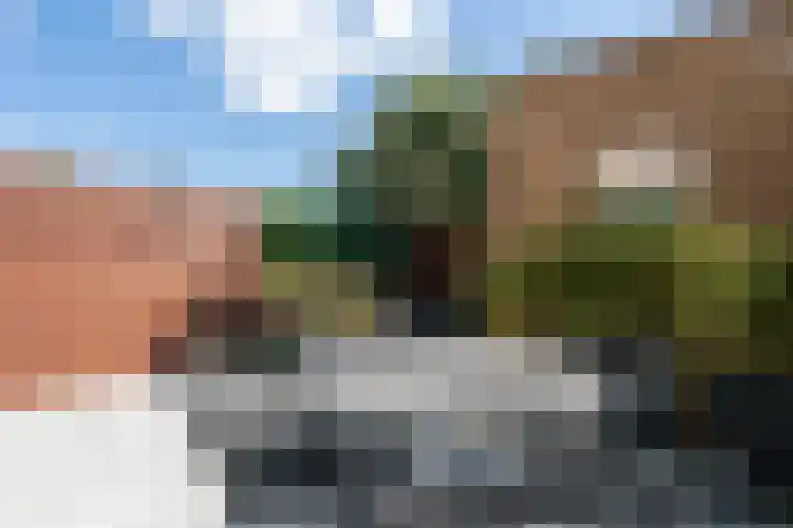 Willem Lodewijkhof 19 Alkmaar thumbnail 53