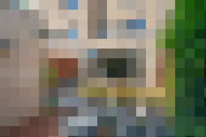 Willem Lodewijkhof 19 Alkmaar thumbnail 55