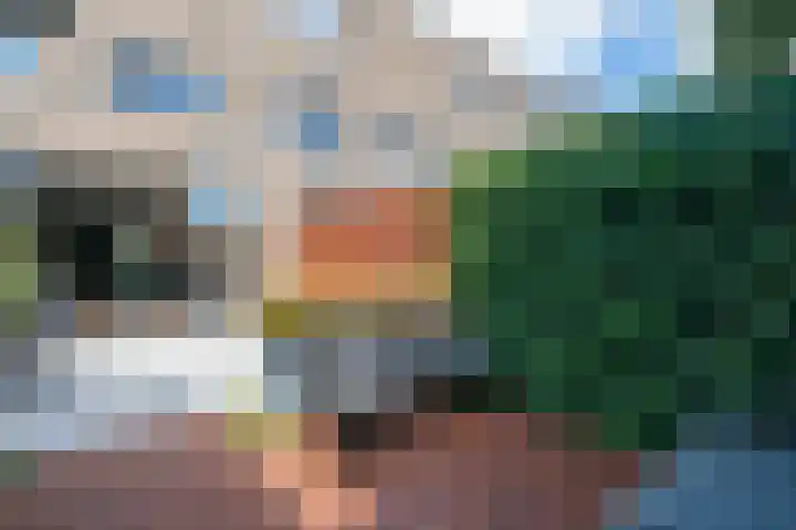 Willem Lodewijkhof 19 Alkmaar thumbnail 56