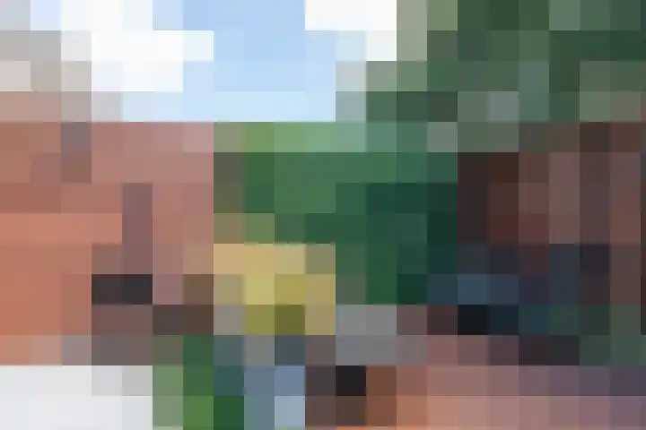 Willem Lodewijkhof 19 Alkmaar thumbnail 57