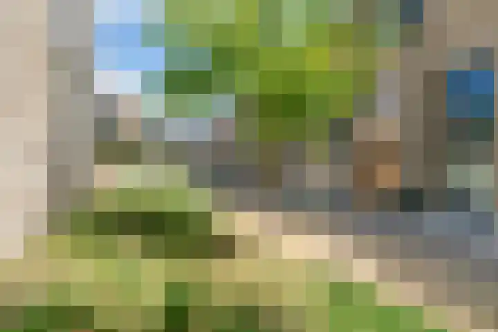 Willem Lodewijkhof 19 Alkmaar thumbnail 58