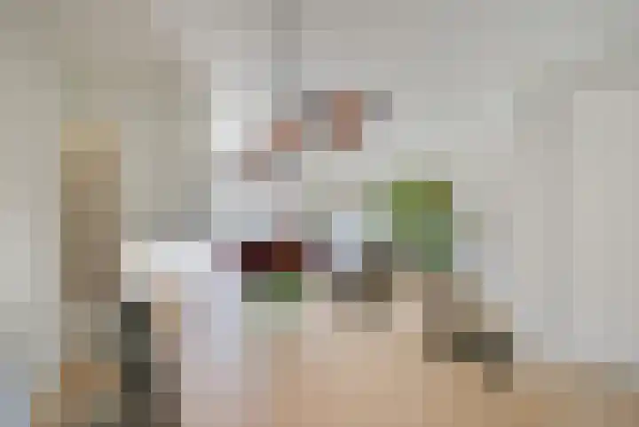 Willem Lodewijkhof 19 Alkmaar thumbnail 8